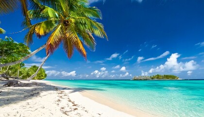 Obraz premium Beautiful tropical beach with white sand, palm trees, turquoise ocean against blue sky with .jpg