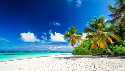 Obraz premium Beautiful tropical beach with white sand, palm trees, turquoise ocean against blue sky with .jpg