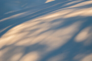 ombre degli alberi e raggi di luce solare  che vengono proiettate sulla neve, in un ambiente naturale, di giorno, in inverno