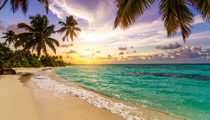 Fototapeta premium Cinematic aerial shot of white sandy beach with palm trees and turquoise sea under blue sky