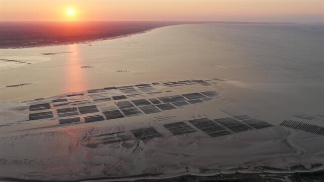 Aerial view of Oyster farm at sunset	