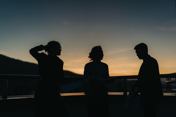 Group of business people engaged in discussion on a rooftop during sunset, creating a powerful...