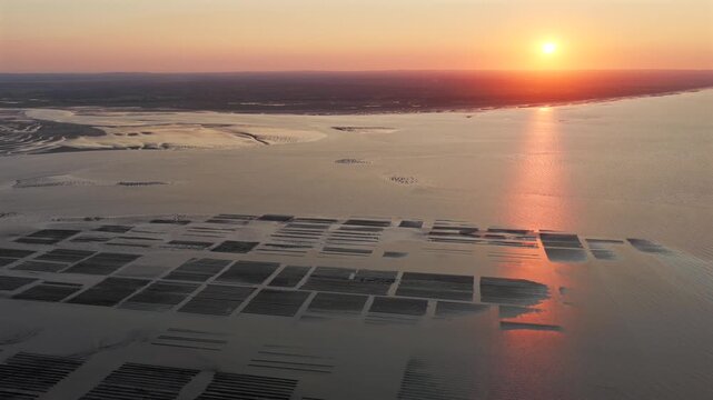 Aerial view of Oyster farm at sunset	