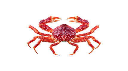 Alaskan king crab delicately presented, showcasing its unique features and culinary appeal

