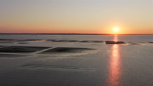 Aerial view of Oyster farm at sunset	