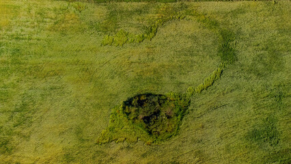 Aerial view of a heart-shaped formation of trees and vegetation in a green field, featuring a...