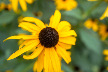 Flower Garden in Hokkaido フラワーガーデン　北海道