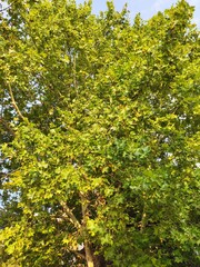 Beautiful nature photos