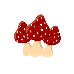 Three mushrooms vector illustration with red color on the top, perfect for complete autumn theme design
