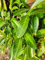 Beautiful nature photos