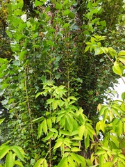 Beautiful nature photos