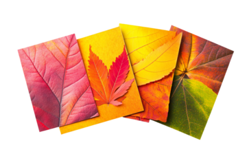 Autumn motif empty cards set isolated on transparent background