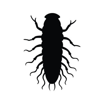 Detailed silhouette illustration of a pill bug or woodlouse with segmented body, Pill bug insect silhouette vector illustration