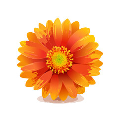 Vibrant Orange Gerbera Daisy Illustration Isolated on Black Background