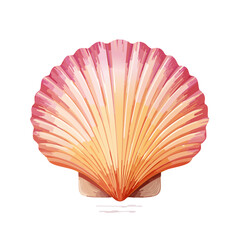 Isolated pink and orange scallop seashell against a dark backdrop; beach themed illustration