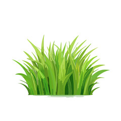 Green Grass Isolated on Black Background. Bush of Bright Fresh Lawn. Natural Ground Cover.