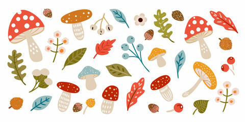 Autumnal Forest Floor Hand Drawn Mushrooms Berries and Leaves Illustration © John Lee
