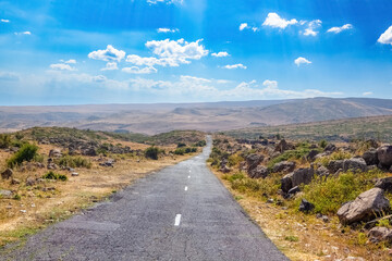 asphalt road in the middle of a desert
