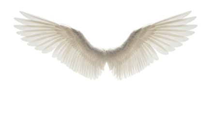 Large, majestic, transparent wings with intricate flight feathers spread wide on an infinite minimalist white studio background with soft lighting, symbolizing aspiration, freedom and innovation