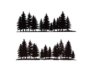 Fototapeta premium Black silhouette forest scenes with grass trees pine trees