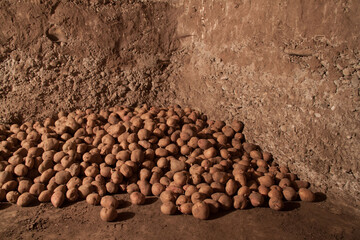 still life potatoes. Modern art. Potatoes in the basement