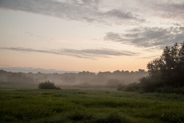 Obraz premium Morning fog in the meadow. Fog in the field. Romantic and mystical landscape