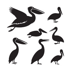Simple pelican bird silhouette icons with a white background. 