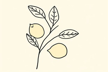 Minimal illustration of lemon branch drawing sketch plant.