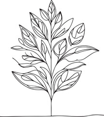 Plant and floral line art illustration