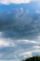 夏の空　夕方の空と雲と夏草のシルエット12