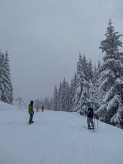 Skiers on Snowy Mountain Slope
