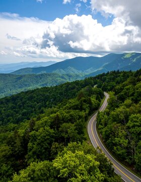 Mountain road winding through lush forest (1)