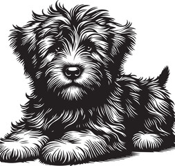 Briard Dog vector in black and white 