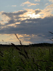 Dramatic Sunset Over Grassy Field