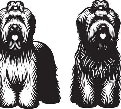 Briard Dog vector in black and white 