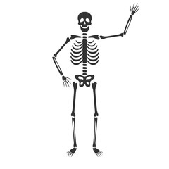 funny skeleton character. Vector illustration.