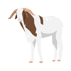 Goat in geometric shape. Flat vector illustration.