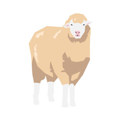Sheep in geometric shape. Flat vector illustration.