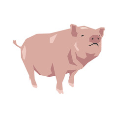 Pig in geometric shape. Flat vector illustration.