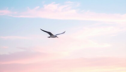Obraz premium Soaring Freedom: A lone seagull glides effortlessly through a pastel sky, its wings outstretched against a canvas of soft blues and pinks, evoking a sense of tranquility and unbounded liberty.