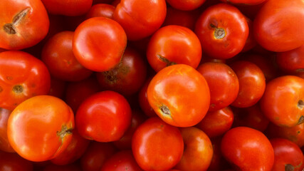 Ripe tomatoes cascade in a vibrant medley, echoing the Harvest Moon Festival and culinary alchemy of La Tomatina