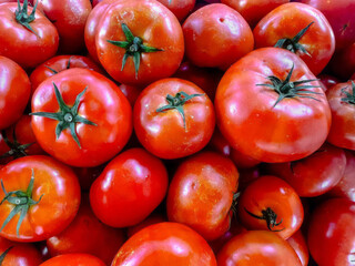 Juicy red tomatoes piled in abundance, celebrating La Tomatina chaos, heirloom harvest festival,...