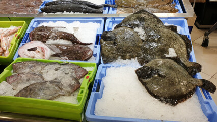 Chilled fish mosaic on frosty ice bed, capturing the coastal allure of Japan's Umi-no-Hi marine...