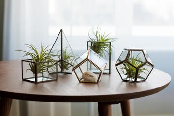 Geometric glass terrariums with air plants on wooden table in natural light background, symbolizing creative indoor gardening decor.. Ai generative