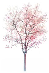 Obraz premium A vintage tree blossom flower plant.