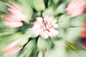 A blurry image of a flower with green leaves