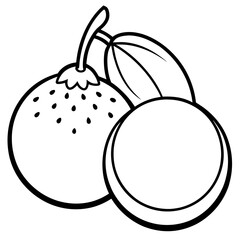 Longan  line art vector