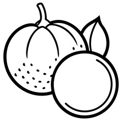 Longan  line art vector