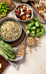 Asortment of plant based vegan protein products. Healthy eating.