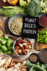 Asortment of plant based vegan protein products. Healthy eating.
